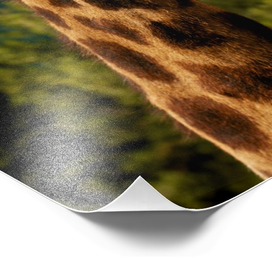 Impression de la girafe (Coin)