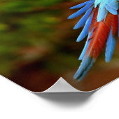 Impression de la macro volante (Coin)