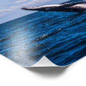 Impression de la photo de rebut de baleines à boss (Coin)