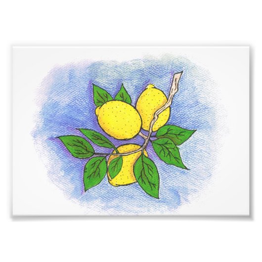 Impression de la photo d'illustration citron (Devant)