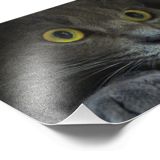 Impression de la photo d'intensité (Coin)