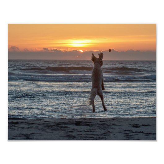 Impression de la photo "Live Large" Beach Sunset ( (Devant)