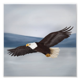 Impression de la photo peinte de l'aigle chauve