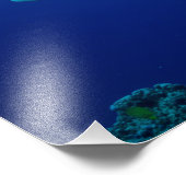 Impression de la photo Reef Shark (Coin)