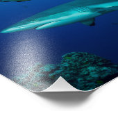 Impression de la photo Reef Shark (Coin)