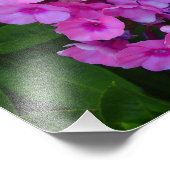 Impression de la photo rose Fleur (Coin)