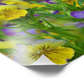 Impression de la photo Viola (Coin)