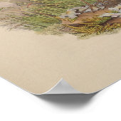 Impression de la Pitta de van der Bosch par John G (Coin)