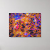 Impression de la plage, rochers et coquillages (Recto)