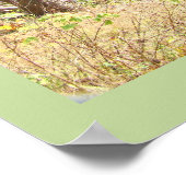 Impression de la sagesse du pays (Coin)