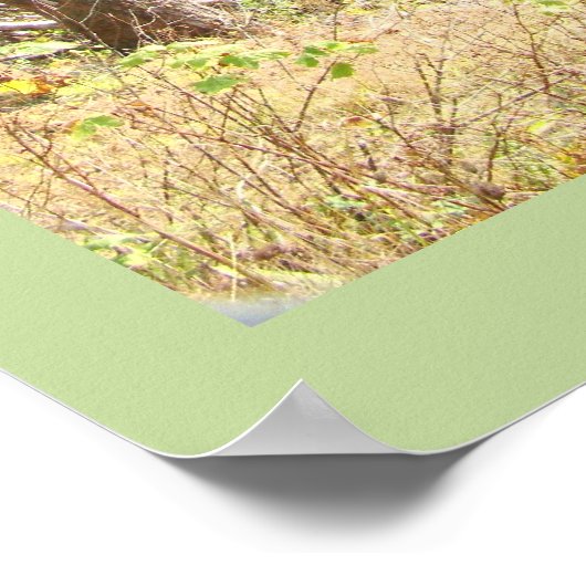 Impression de la sagesse du pays (Coin)