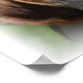 Impression de la toile beagle (Coin)