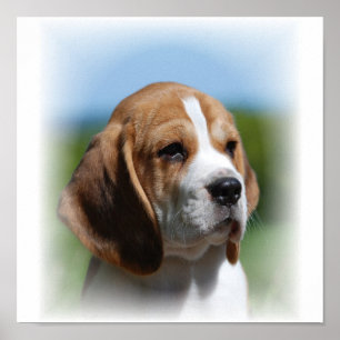 Impression de la toile beagle