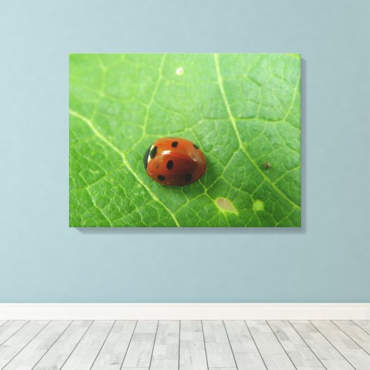 Impression de la toile de bug Ladybug (Insitu (Plancher de Bois))