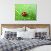 Impression de la toile de bug Ladybug (Insitu(Chambre))
