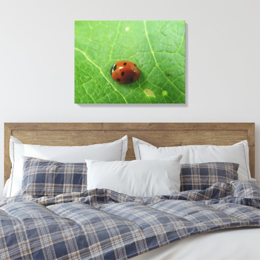 Impression de la toile de bug Ladybug (Insitu(Chambre))