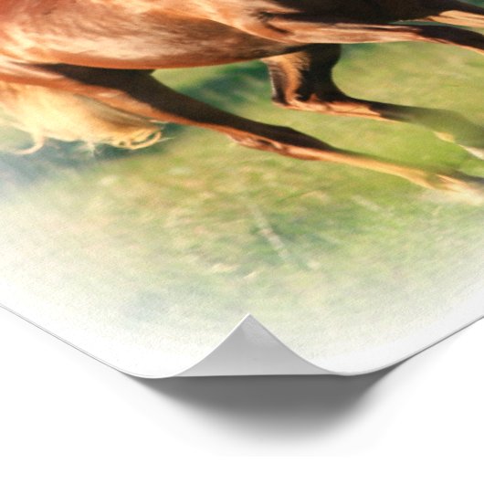 Impression de la toile de châtaignier (Coin)