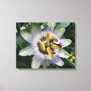Impression de la toile de fleurs de passion