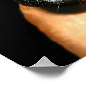 Impression de la toile de fond de boîte (Coin)