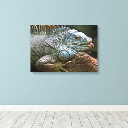 Impression de la toile de fond Iguana (Insitu (Plancher de Bois))