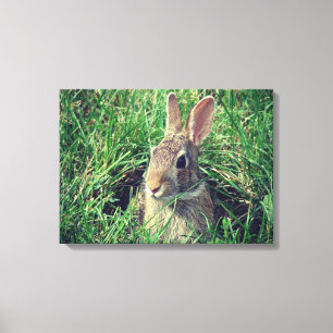 Impression de la toile de lapin