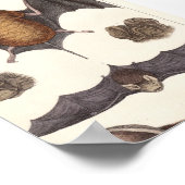 Impression de la toile de modèle de chaume Nocturn (Coin)