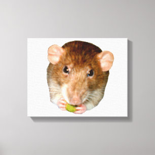 Impression de la toile de rat affamée