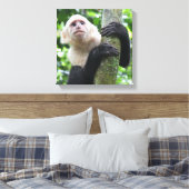 Impression de la toile de singe capucin (Insitu(Chambre))