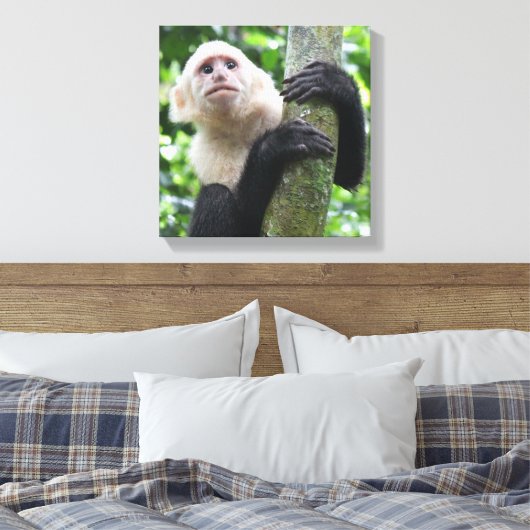 Impression de la toile de singe capucin (Insitu(Chambre))