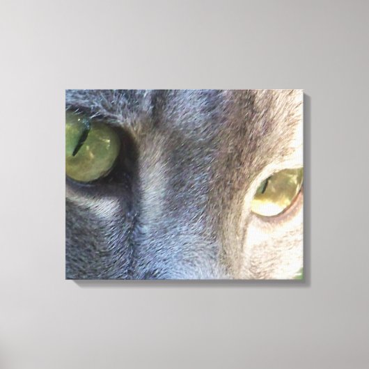 Impression de la toile de visage de chat gris (Recto)