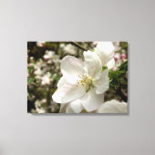Impression de la toile en fleur Apple (Recto)