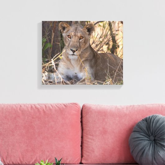 Impression de la toile Lioness (Insitu(Salon))