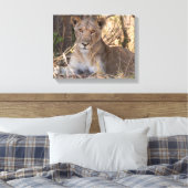 Impression de la toile Lioness (Insitu(Chambre))