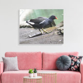 Impression de la toile Moorhen (Insitu(Salon))