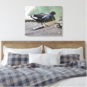 Impression de la toile Moorhen (Insitu(Chambre))