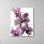 Impression de la toile orchidée (Recto)