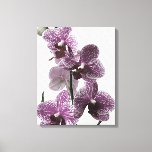 Impression de la toile orchidée (Recto)