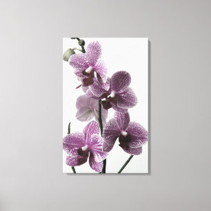 Impression de la toile orchidée