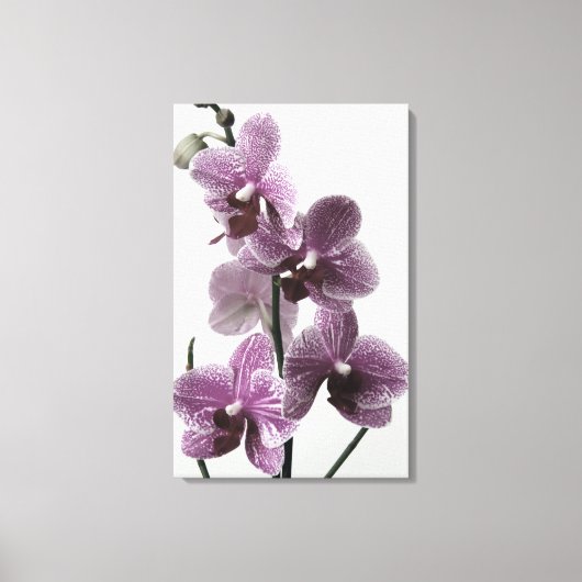 Impression de la toile orchidée (Recto)