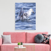 Impression de la toile photo nature Fulmar (Insitu(Salon))