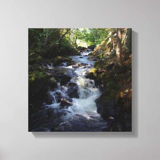Impression de la toile Smal Falls (Recto)