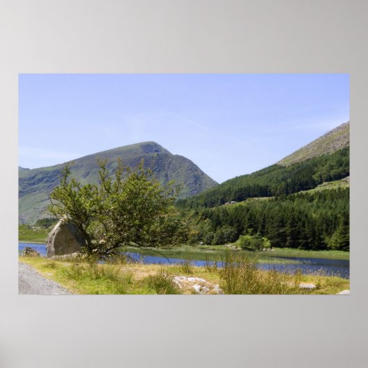 Impression de la vallée noire (Devant)