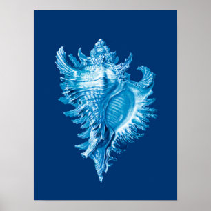Impression de la vie marine en coquille de conque,