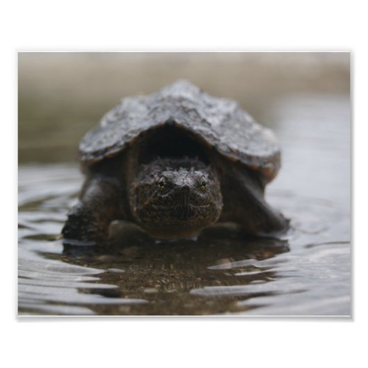 Impression de l'adaptateur d'alligator (Devant)