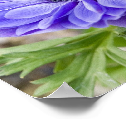 Impression de l'affiche (Coin)