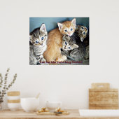 Impression de l'affiche Cute kittens (Cuisine)