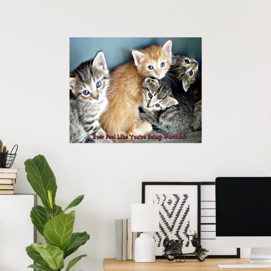 Impression de l'affiche Cute kittens (Bureau à domicile)