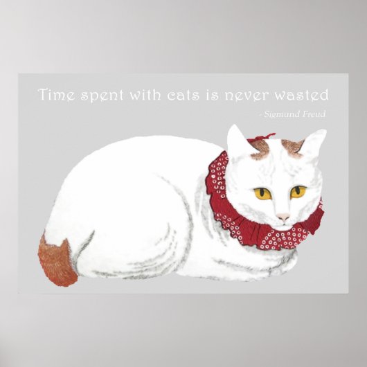 Impression de l'affiche de chat blanc (Devant)