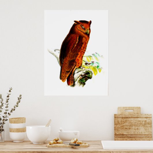 Impression de l'affiche de hibou (Cuisine)