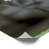 Impression de l'affiche de la Chouette de l'étable (Coin)